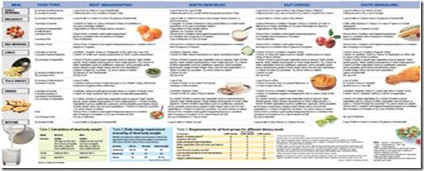 Diet Chart For Diabetes Type 2 In India